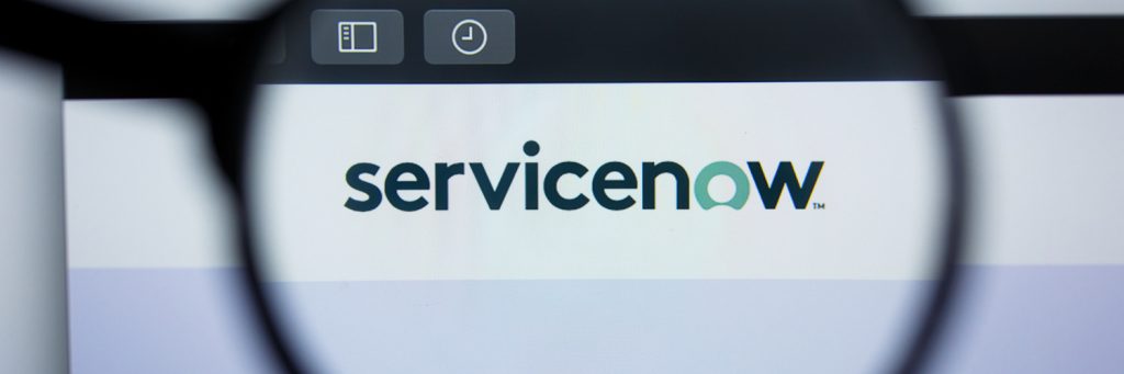 service now consulting services