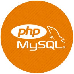 Custom Software Development